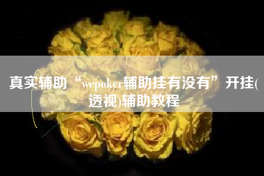 真实辅助“wepoker辅助挂有没有”开挂(透视)辅助教程