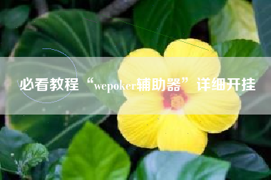 必看教程“wepoker辅助器	”详细开挂