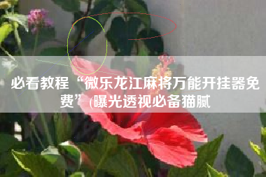 必看教程“微乐龙江麻将万能开挂器免费”(曝光透视必备猫腻