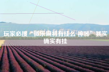 玩家必搜“微乐麻将有挂么 神器”其实确实有挂